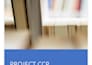 create professional powerpoint presentations and technical reports